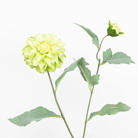 26" DAHLIA SPRAY X 2