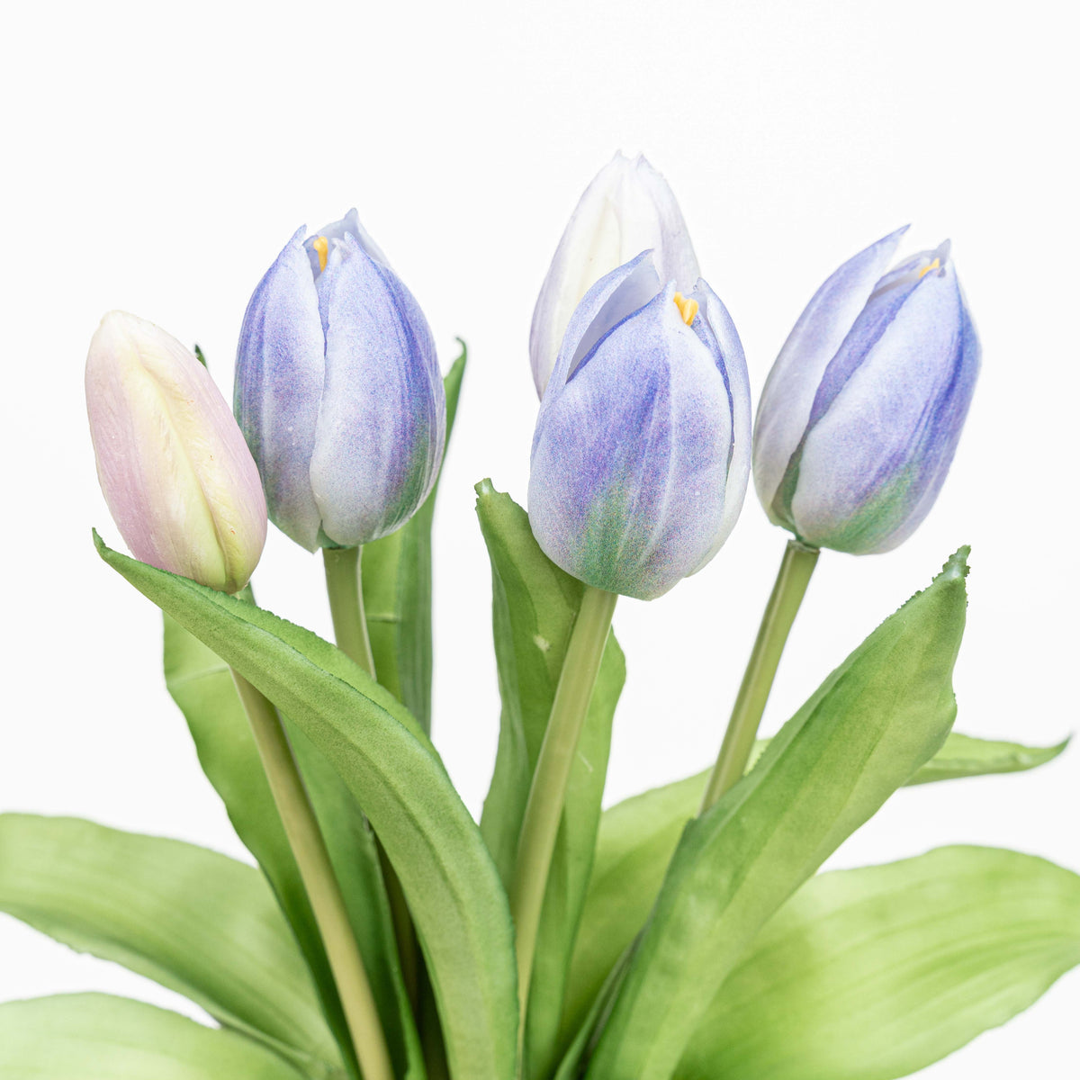 12" SOFT TOUCH TULIP BUNDLE X 5