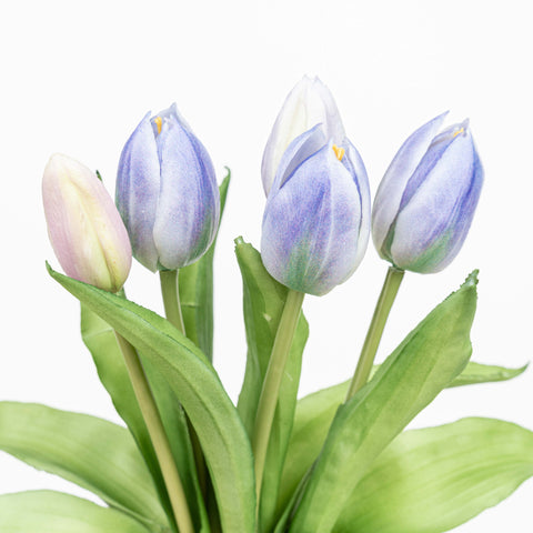 12" SOFT TOUCH TULIP BUNDLE X 5