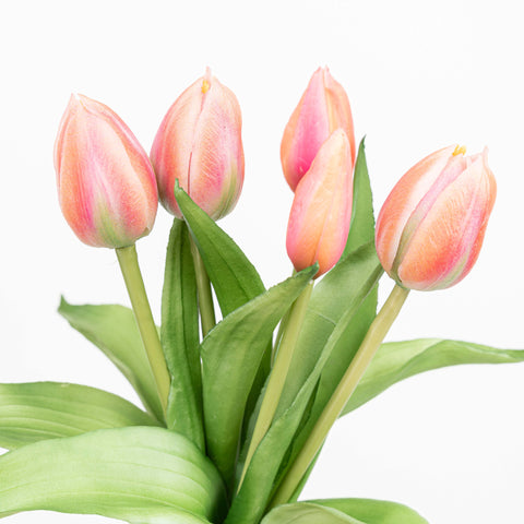 12" SOFT TOUCH TULIP BUNDLE X 5