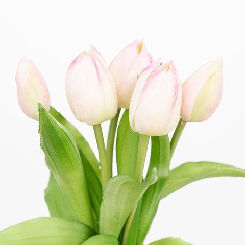 12" SOFT TOUCH TULIP BUNDLE X 5