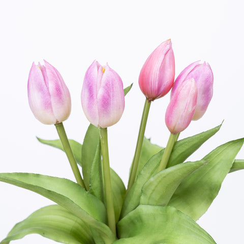 12" SOFT TOUCH TULIP BUNDLE X 5