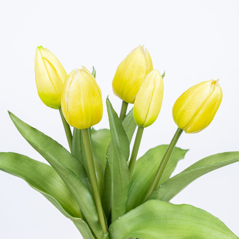 12" SOFT TOUCH TULIP BUNDLE X 5