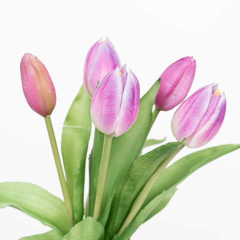 12" SOFT TOUCH TULIP BUNDLE X 5