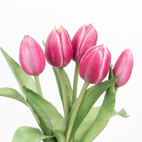 12" SOFT TOUCH TULIP BUNDLE X 5