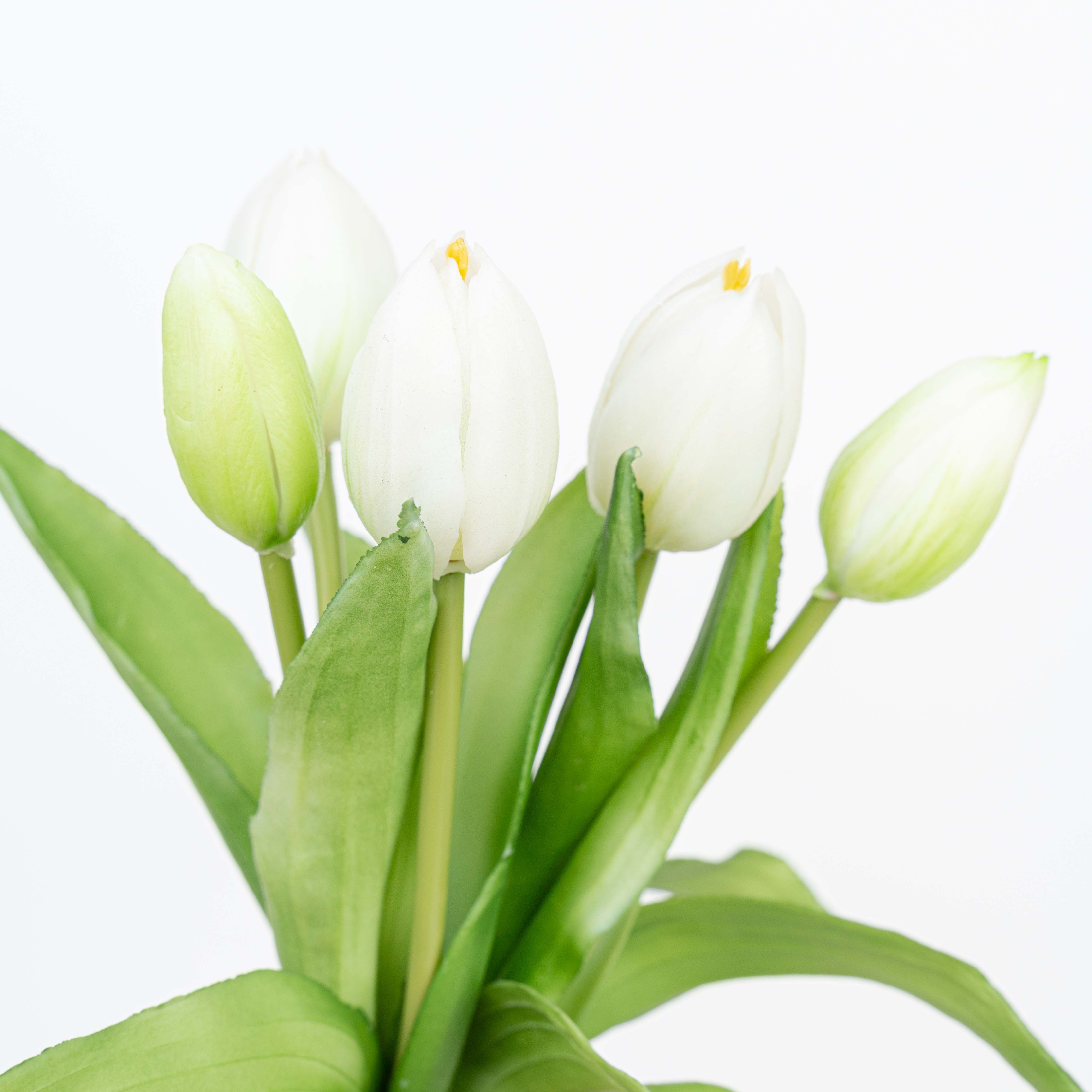 12" SOFT TOUCH TULIP BUNDLE X 5