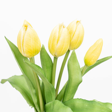 12" SOFT TOUCH TULIP BUNDLE X 5