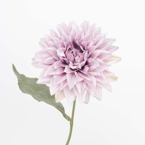 26" AUTUMN DAHLIA SPRAY