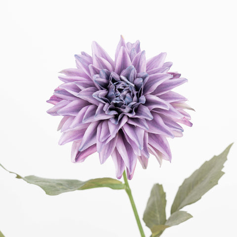 26" AUTUMN DAHLIA SPRAY