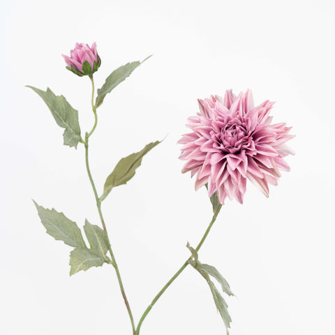 26" AUTUMN DAHLIA SPRAY