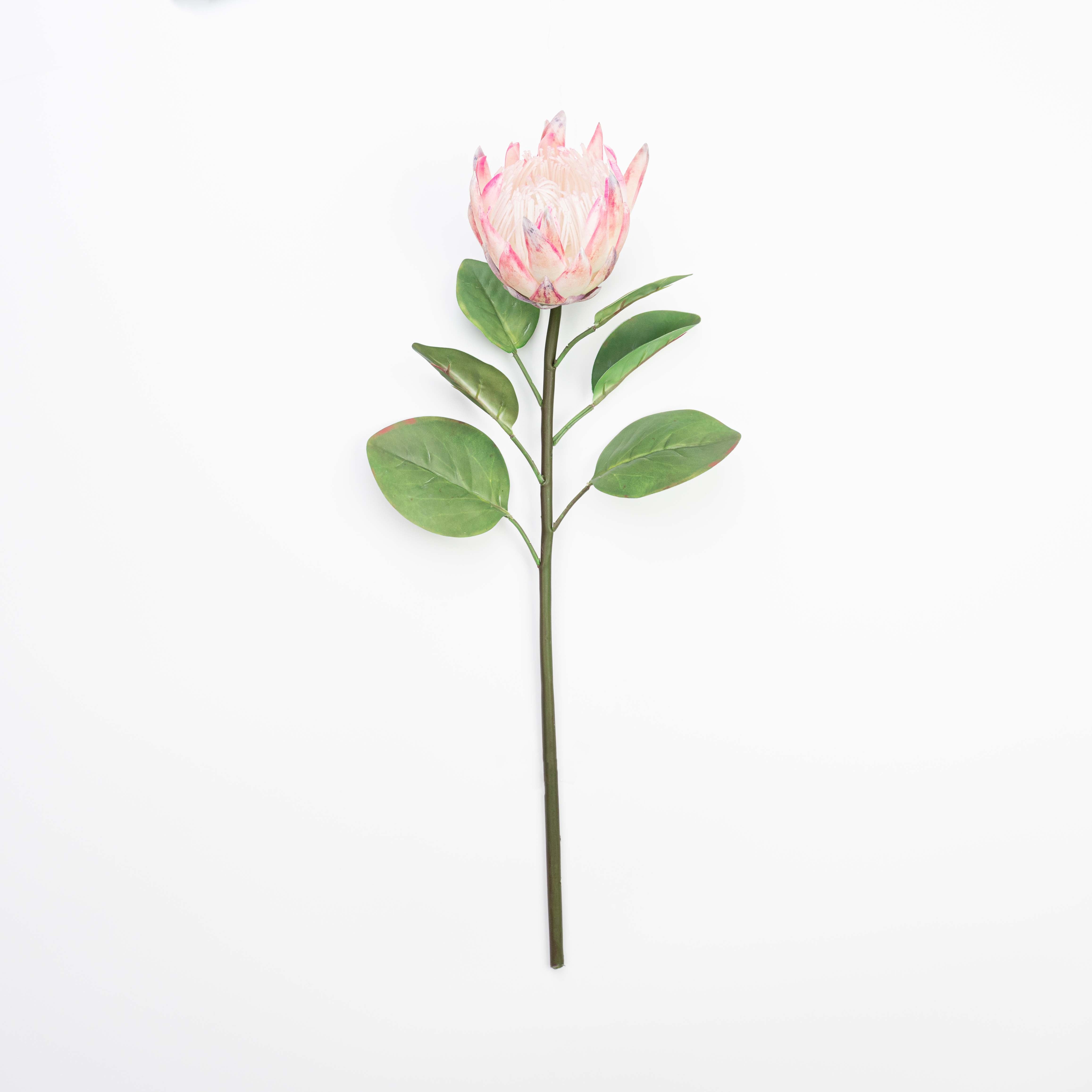 26" REAL TOUCH PROTEA STEM