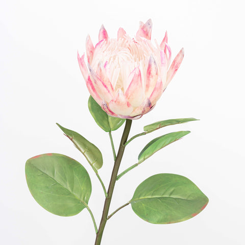 26" REAL TOUCH PROTEA STEM