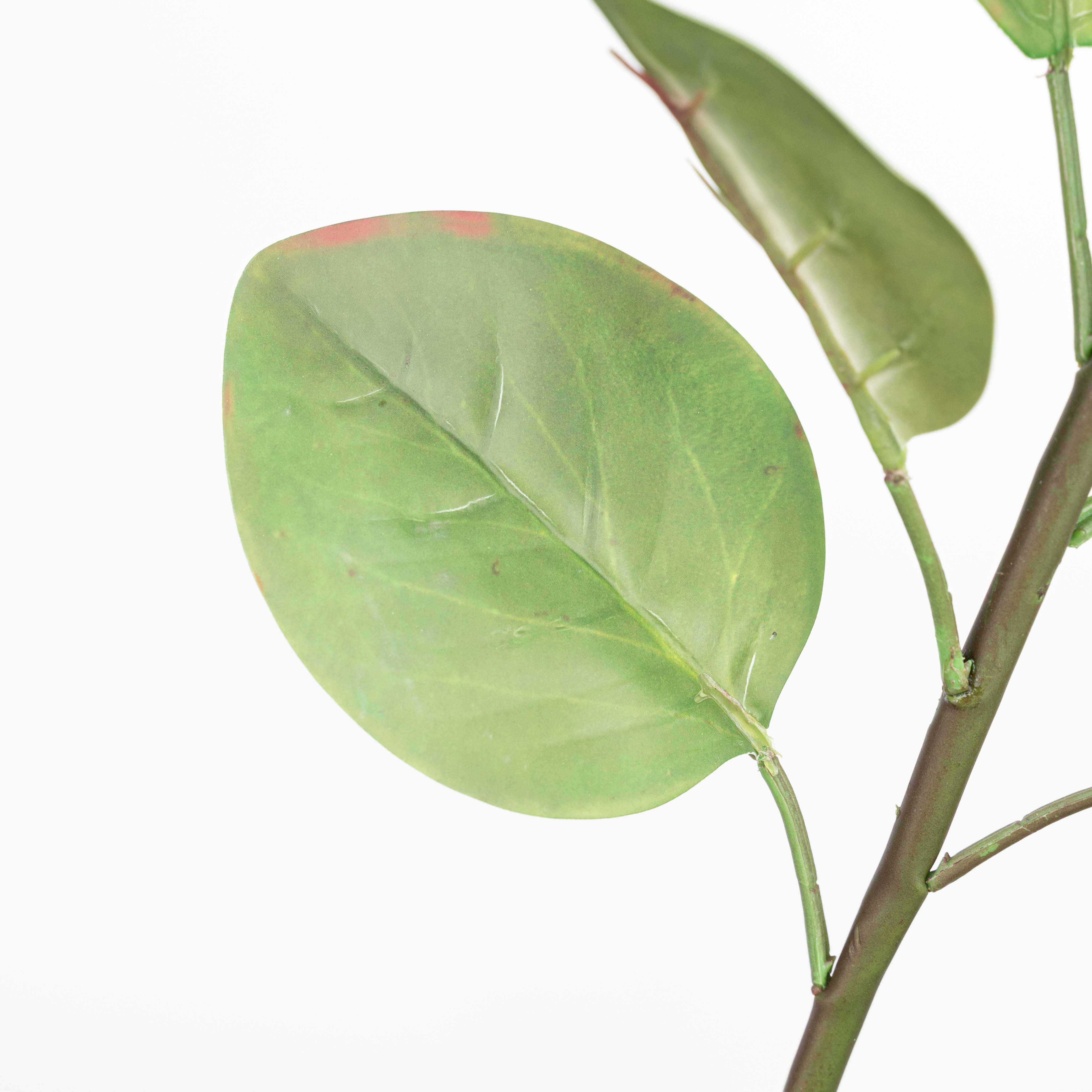 26" REAL TOUCH PROTEA STEM