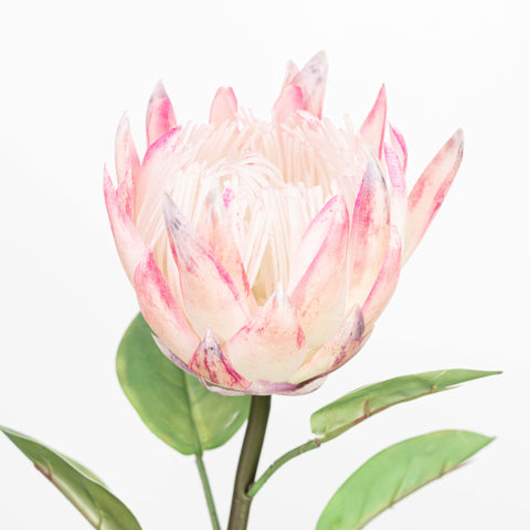 26" REAL TOUCH PROTEA STEM