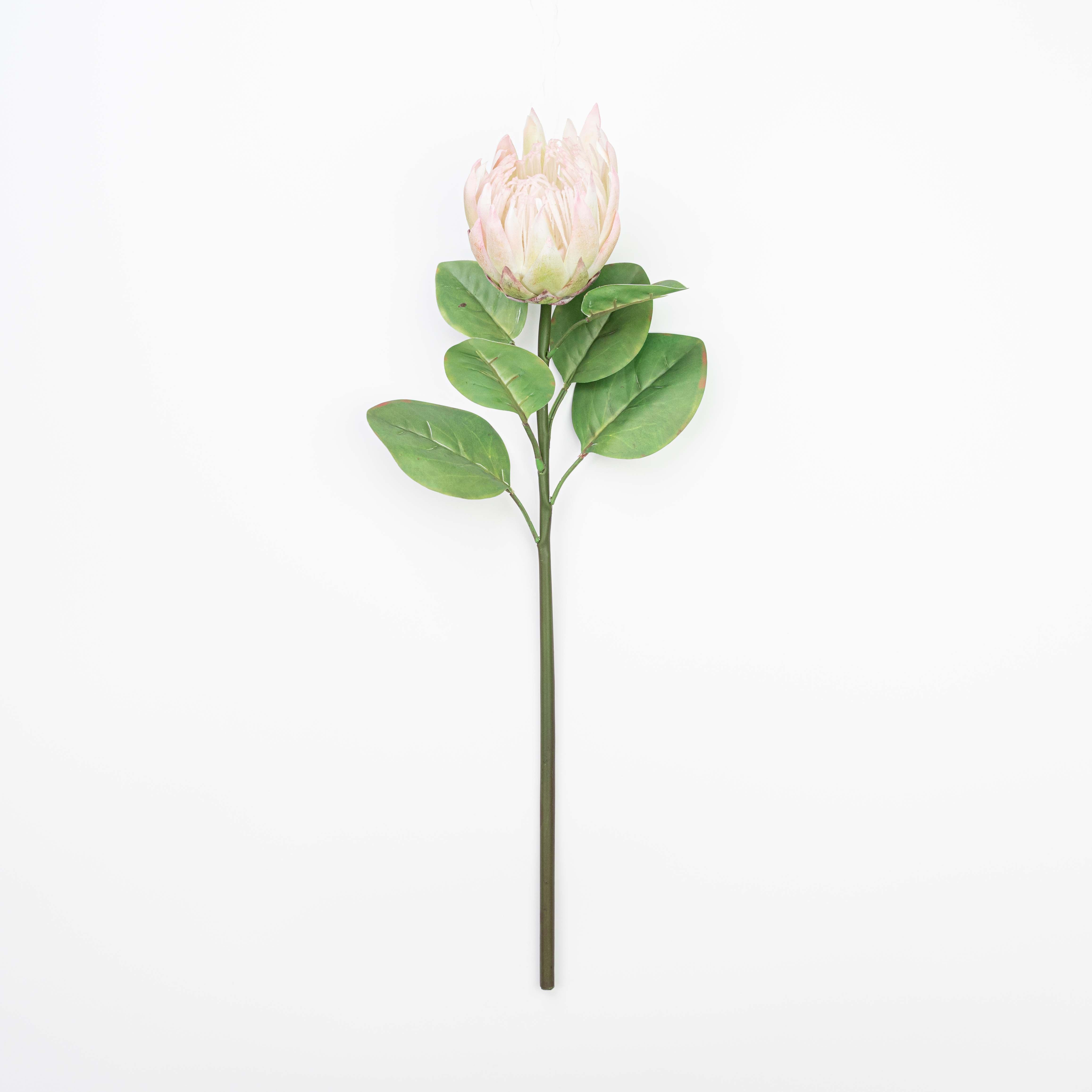 26" REAL TOUCH PROTEA STEM