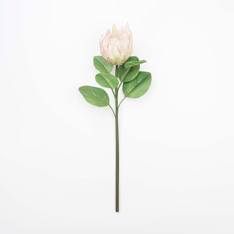 26" REAL TOUCH PROTEA STEM