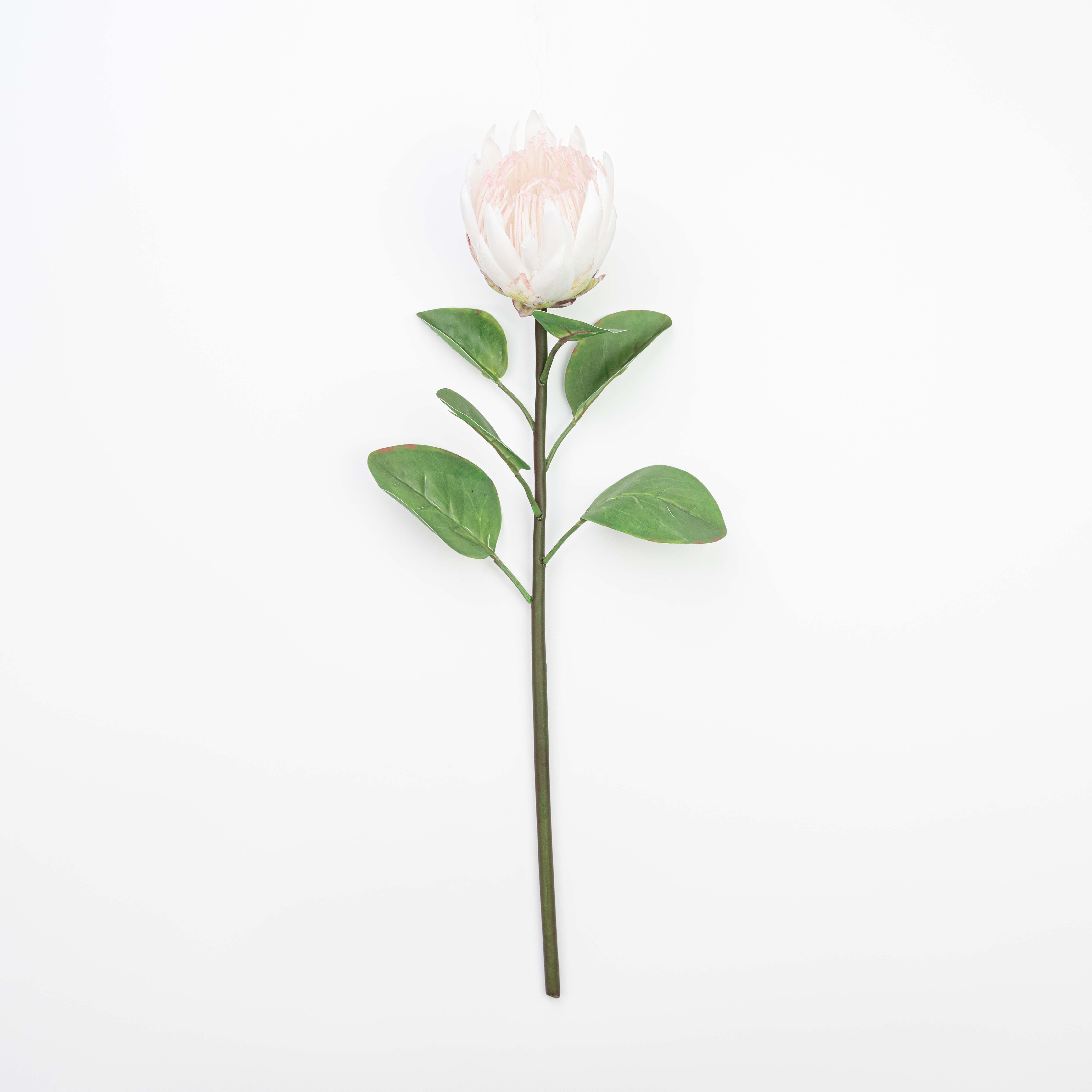 26" REAL TOUCH PROTEA STEM