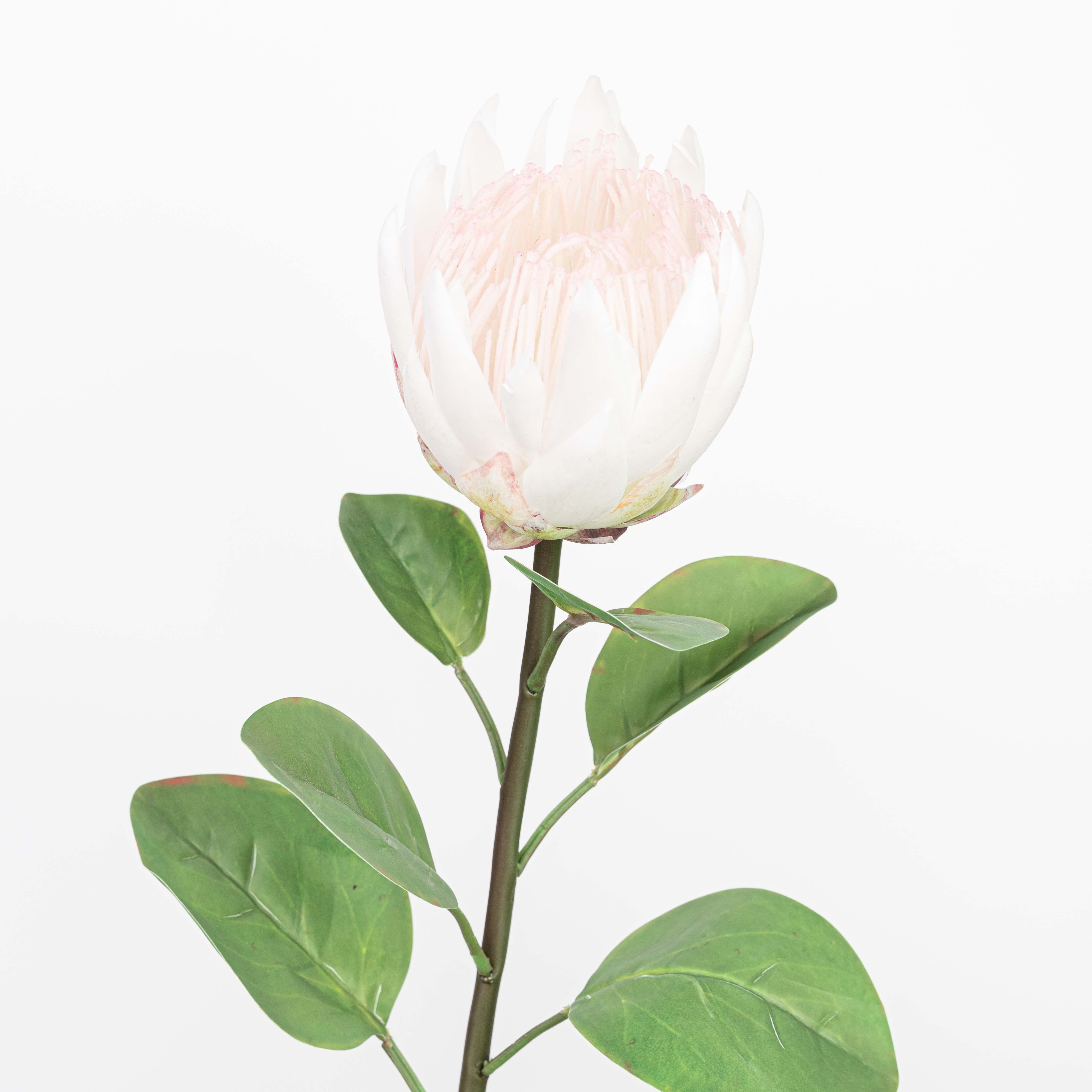 26" REAL TOUCH PROTEA STEM