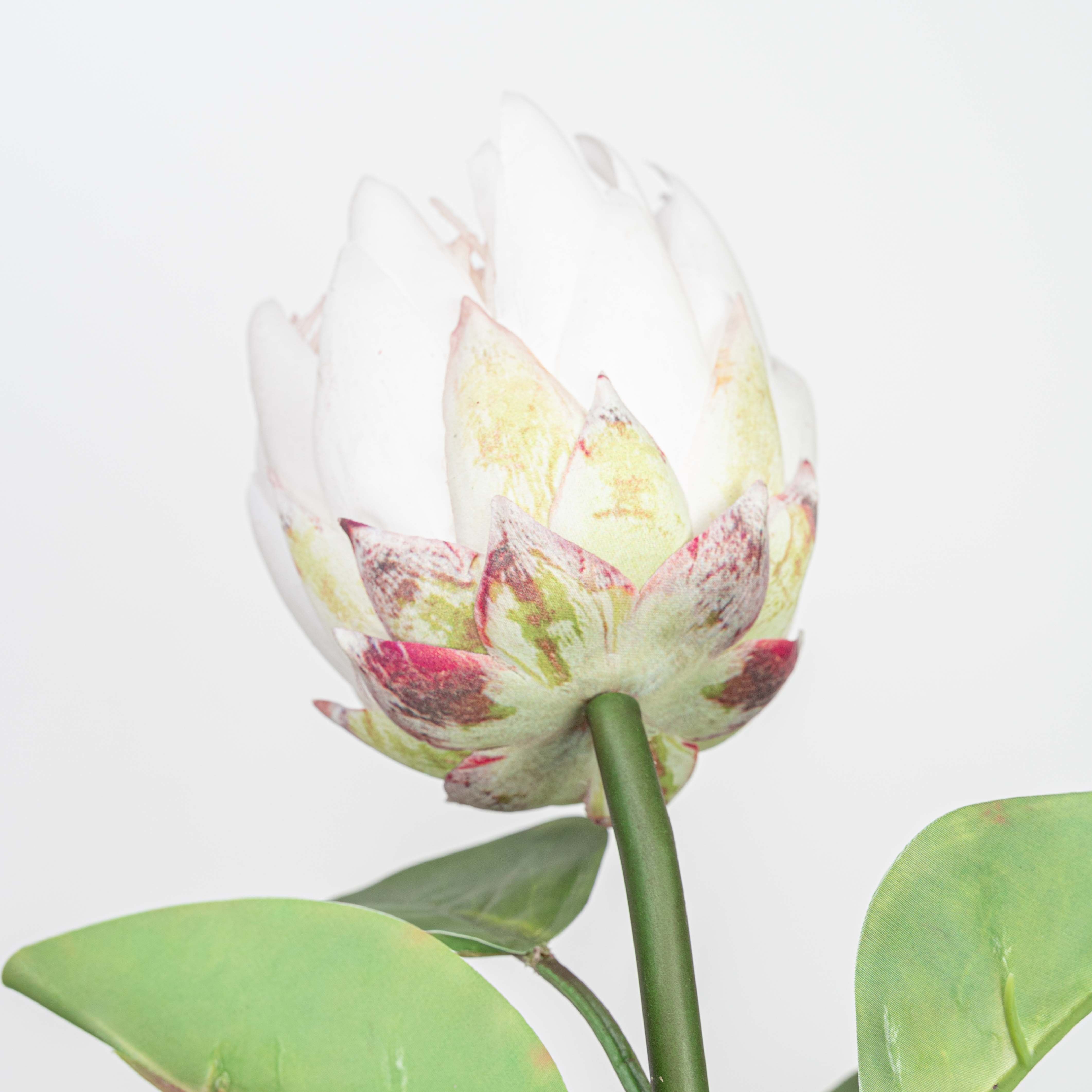 26" REAL TOUCH PROTEA STEM