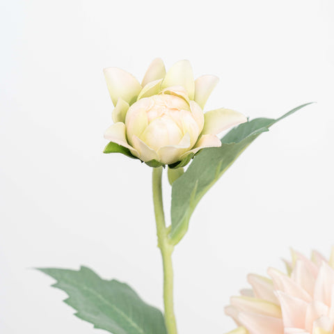 24" REAL TOUCH DAHLIA SPRAY