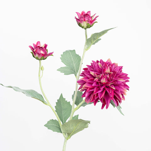 24" REAL TOUCH DAHLIA SPRAY