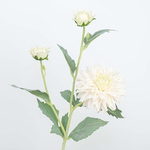 24" REAL TOUCH DAHLIA SPRAY