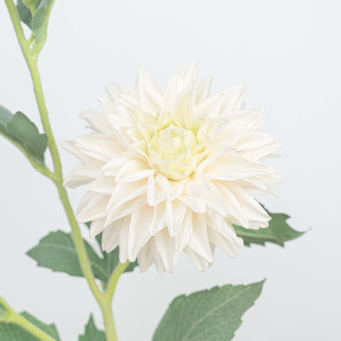 24" REAL TOUCH DAHLIA SPRAY