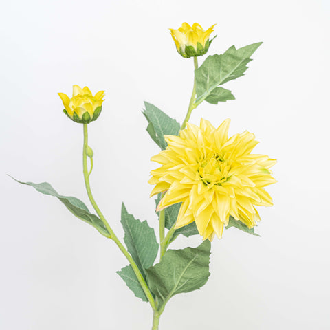 24" REAL TOUCH DAHLIA SPRAY