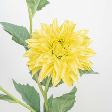 24" REAL TOUCH DAHLIA SPRAY