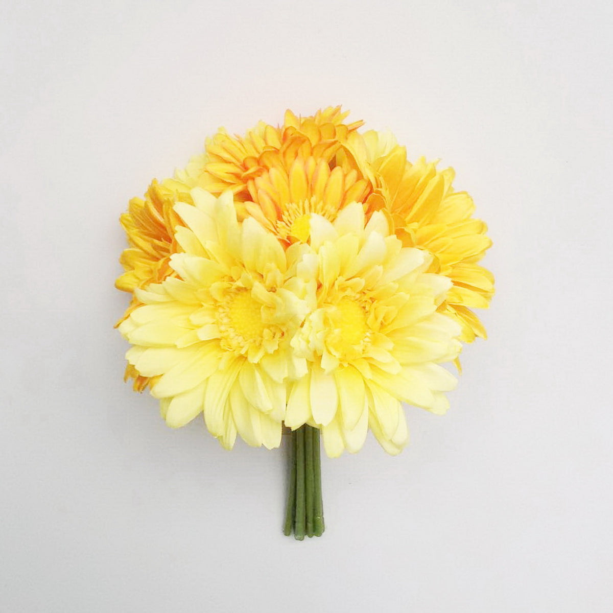 10" GERBERA BUNDLE X 8