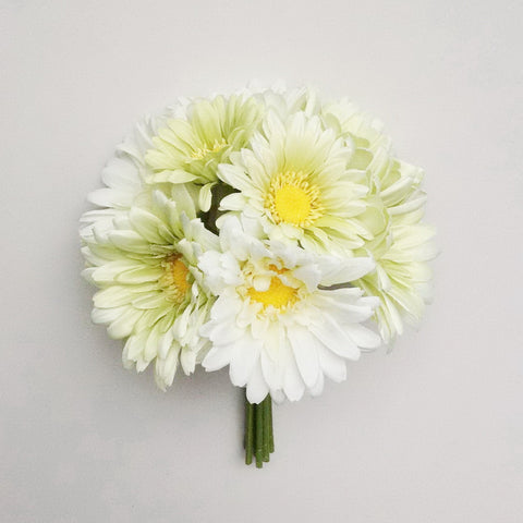 10" GERBERA BUNDLE X 8