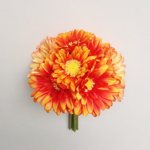 10" GERBERA BUNDLE X 8