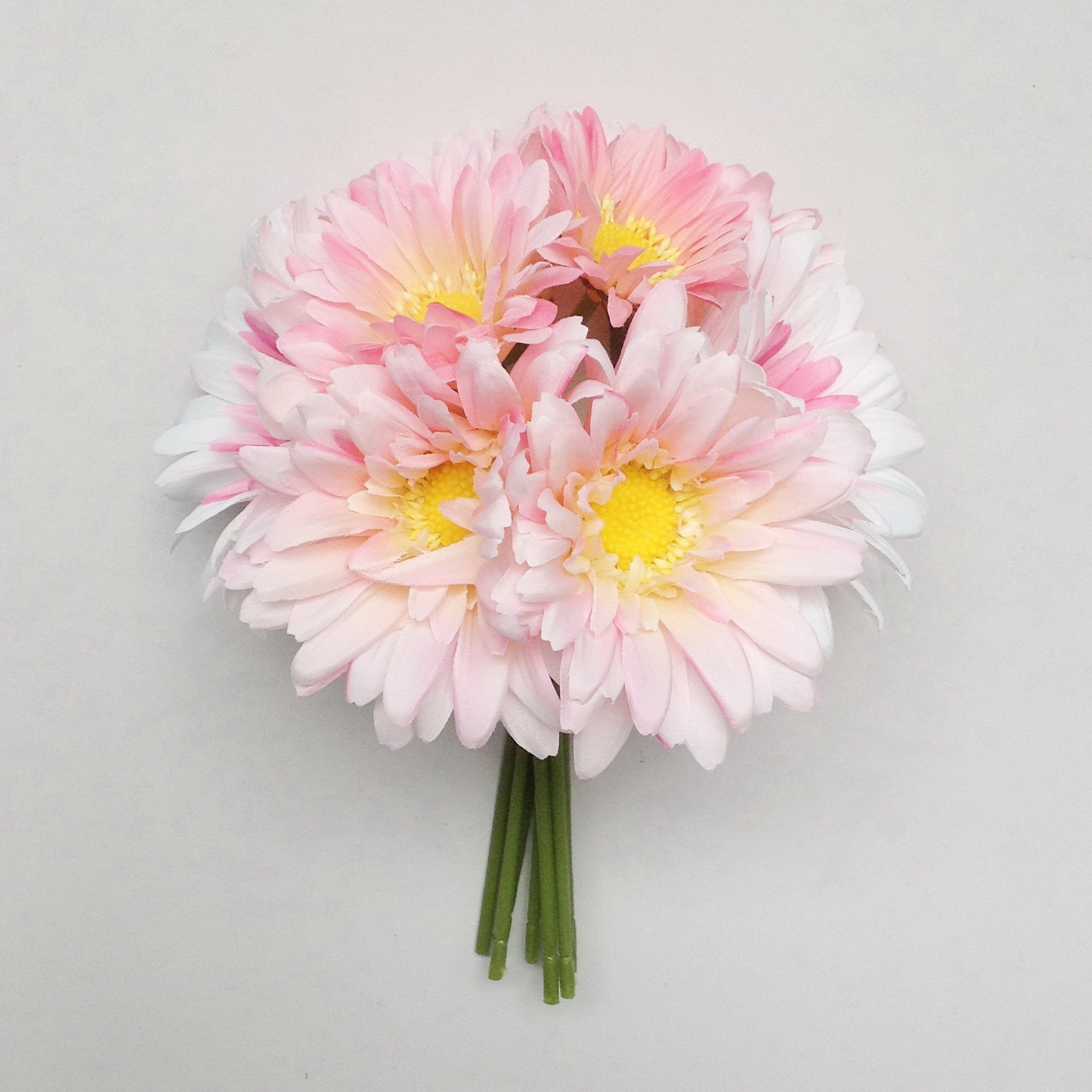 10" GERBERA BUNDLE X 8