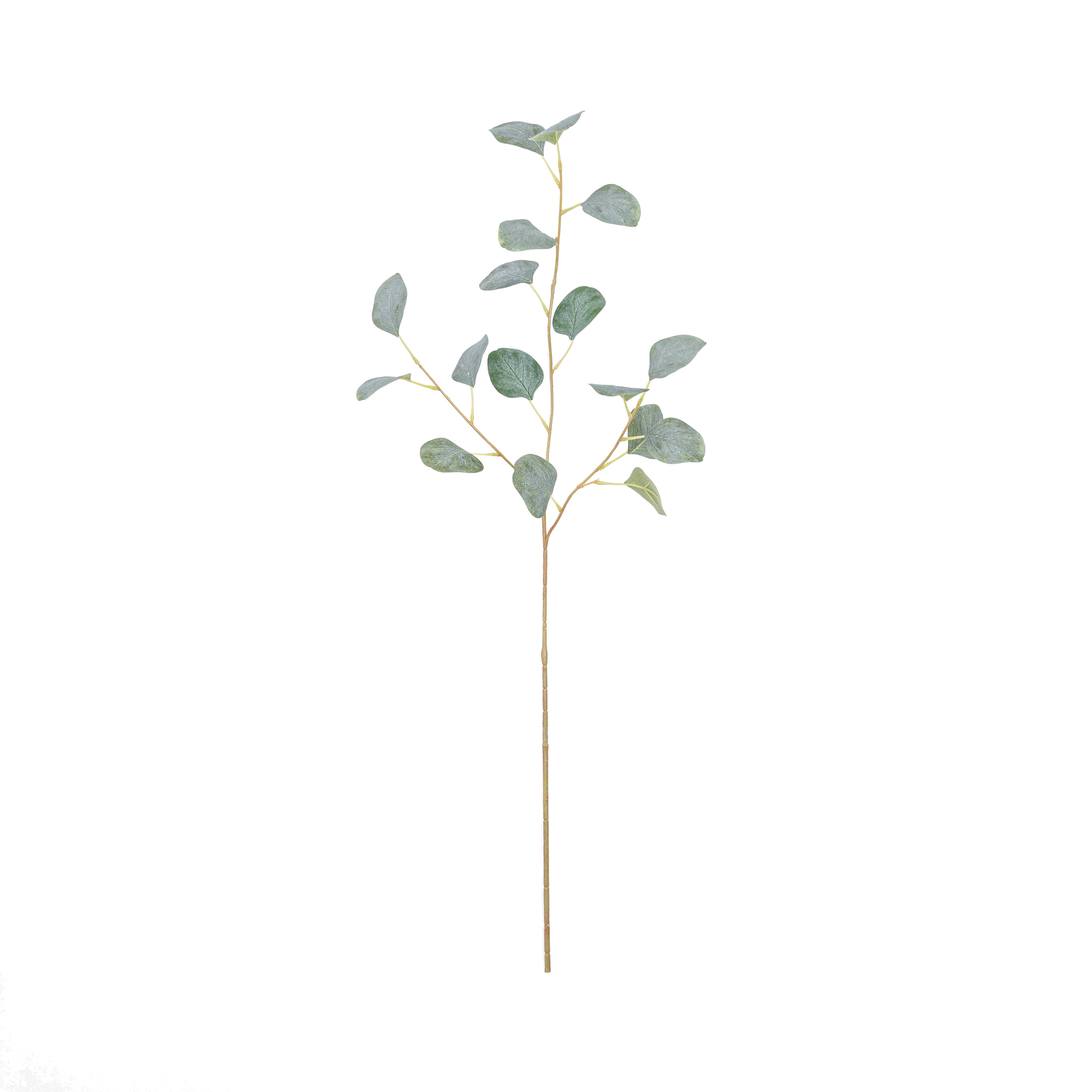 32" EUCALYPTUS SPRAY