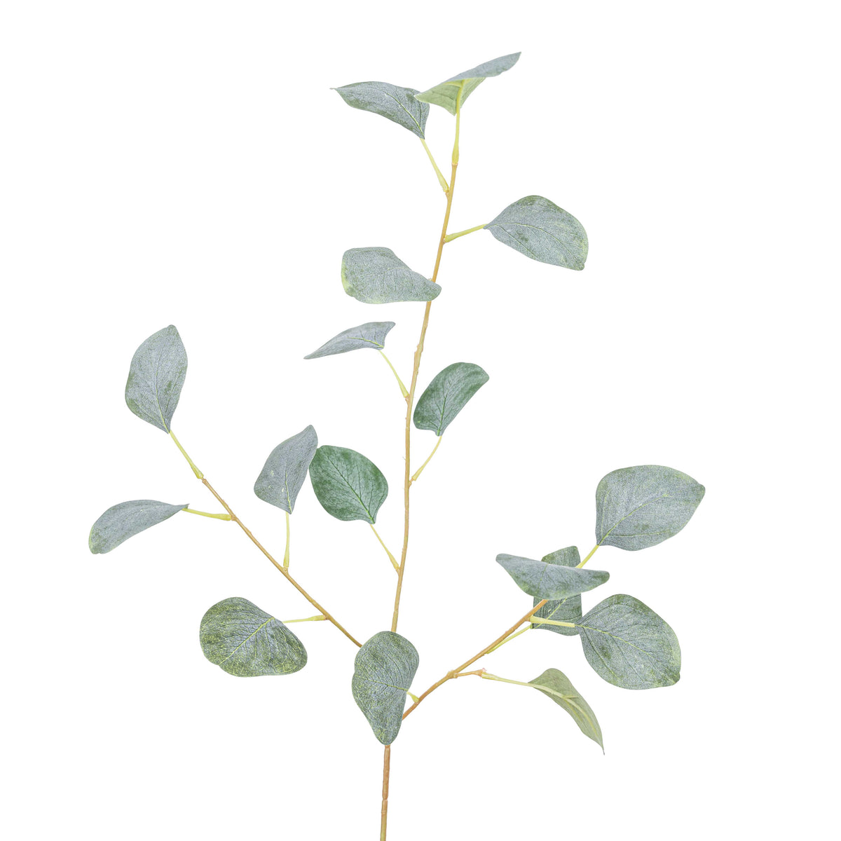 32" EUCALYPTUS SPRAY