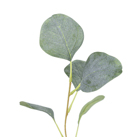 32" EUCALYPTUS SPRAY