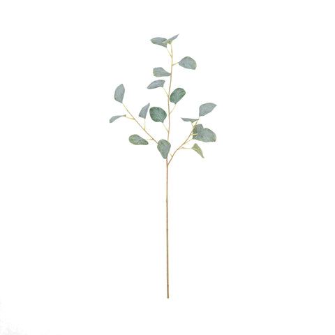 32" EUCALYPTUS SPRAY