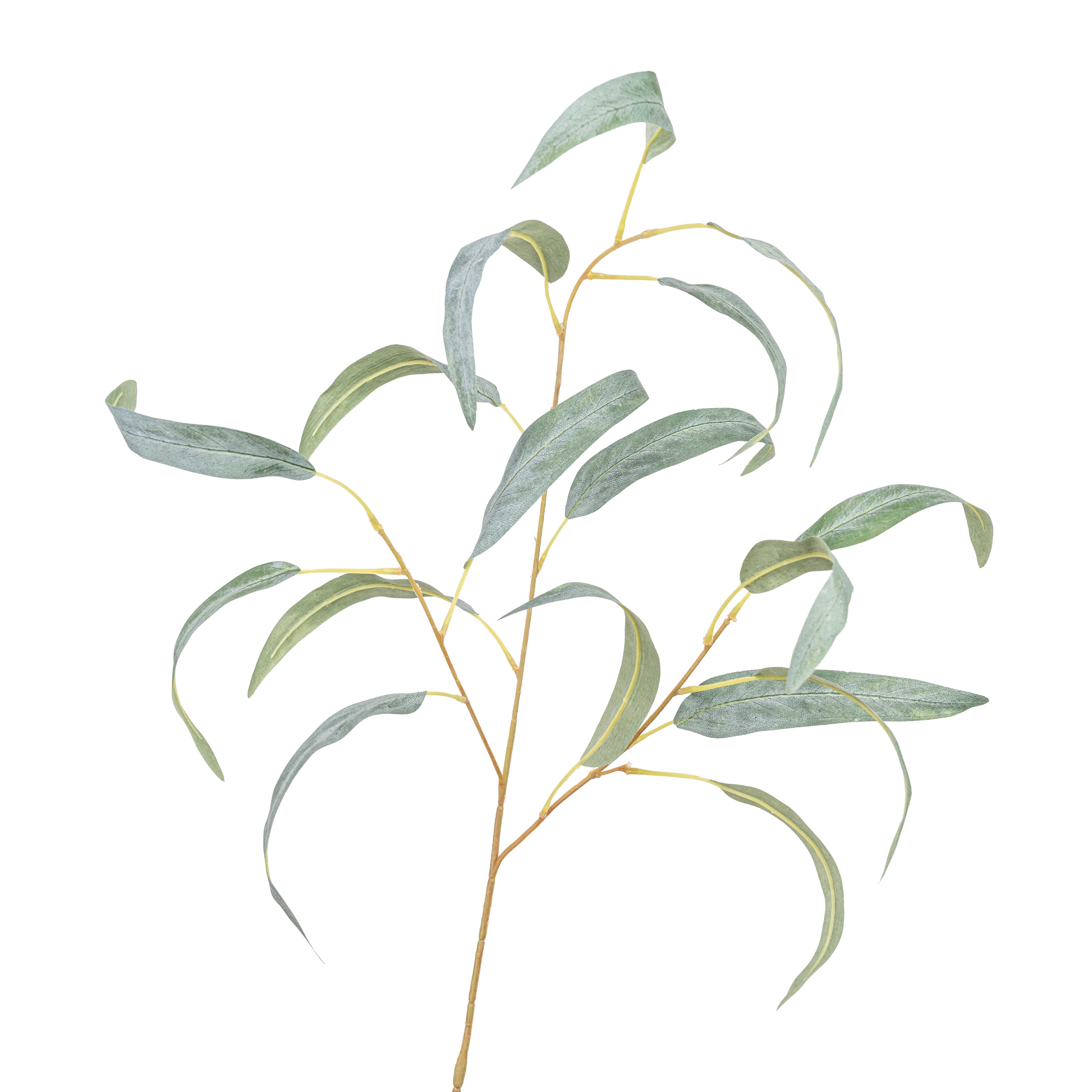 32" EUCALYPTUS SPRAY