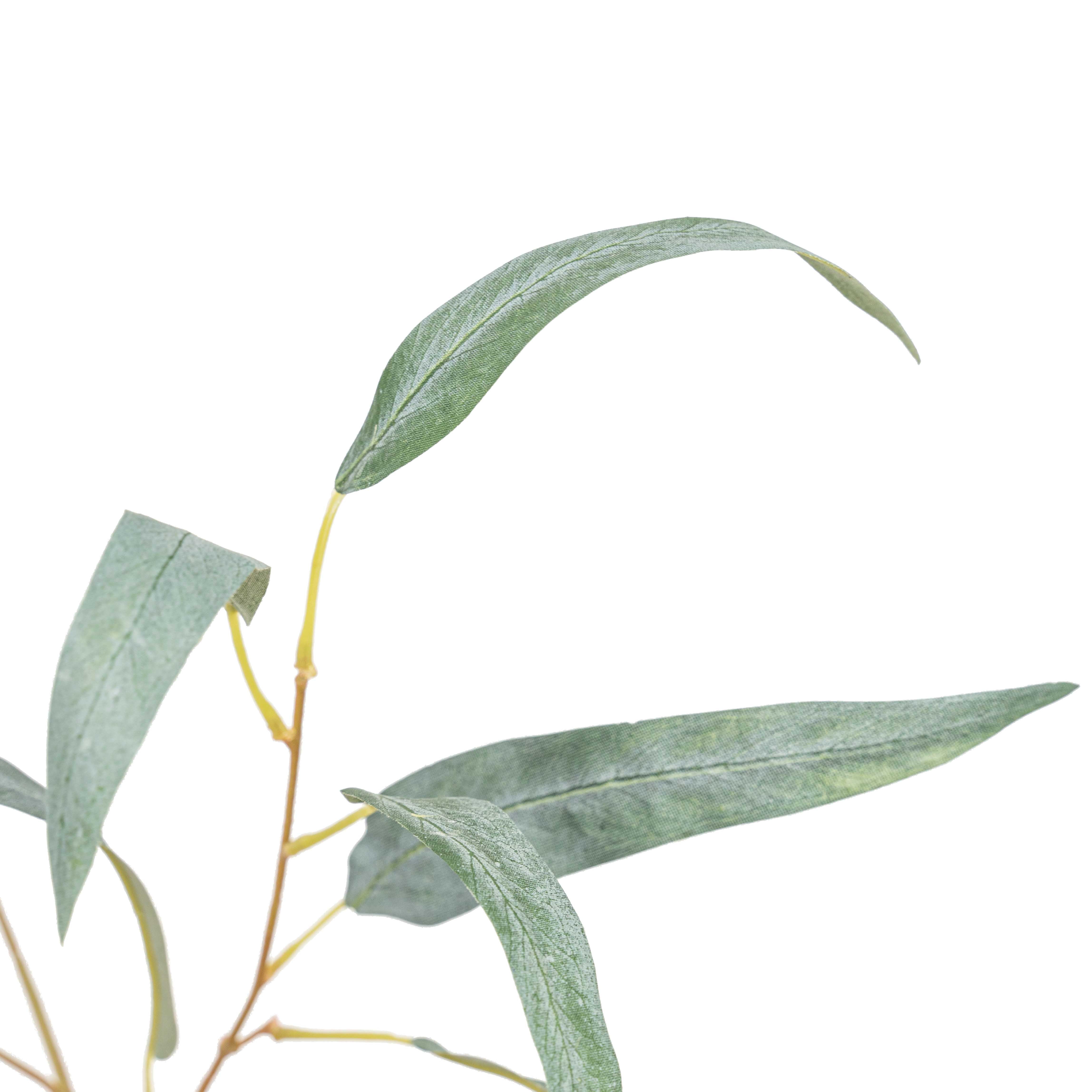 32" EUCALYPTUS SPRAY