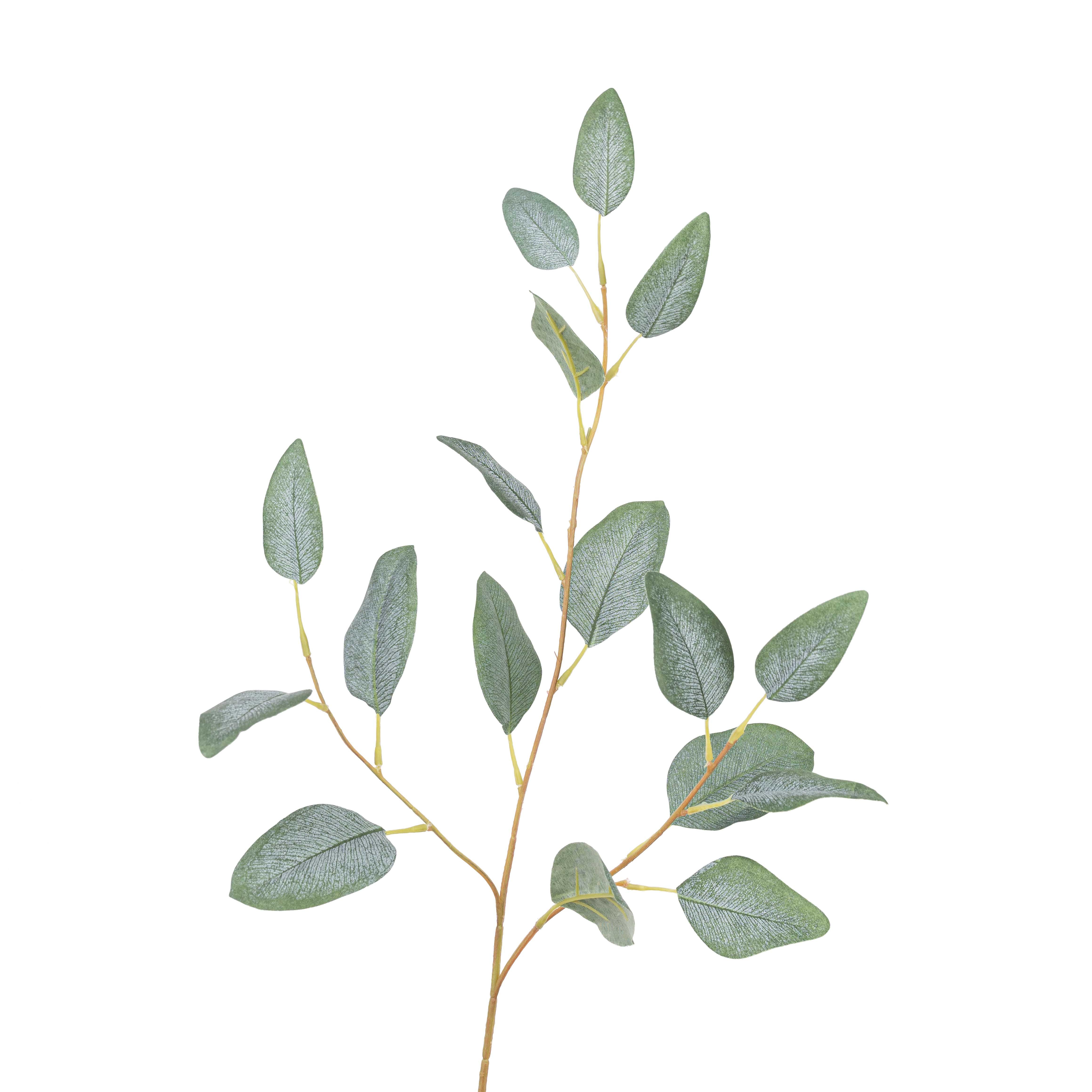 32" EUCALYPTUS SPRAY