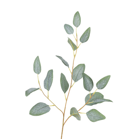 32" EUCALYPTUS SPRAY