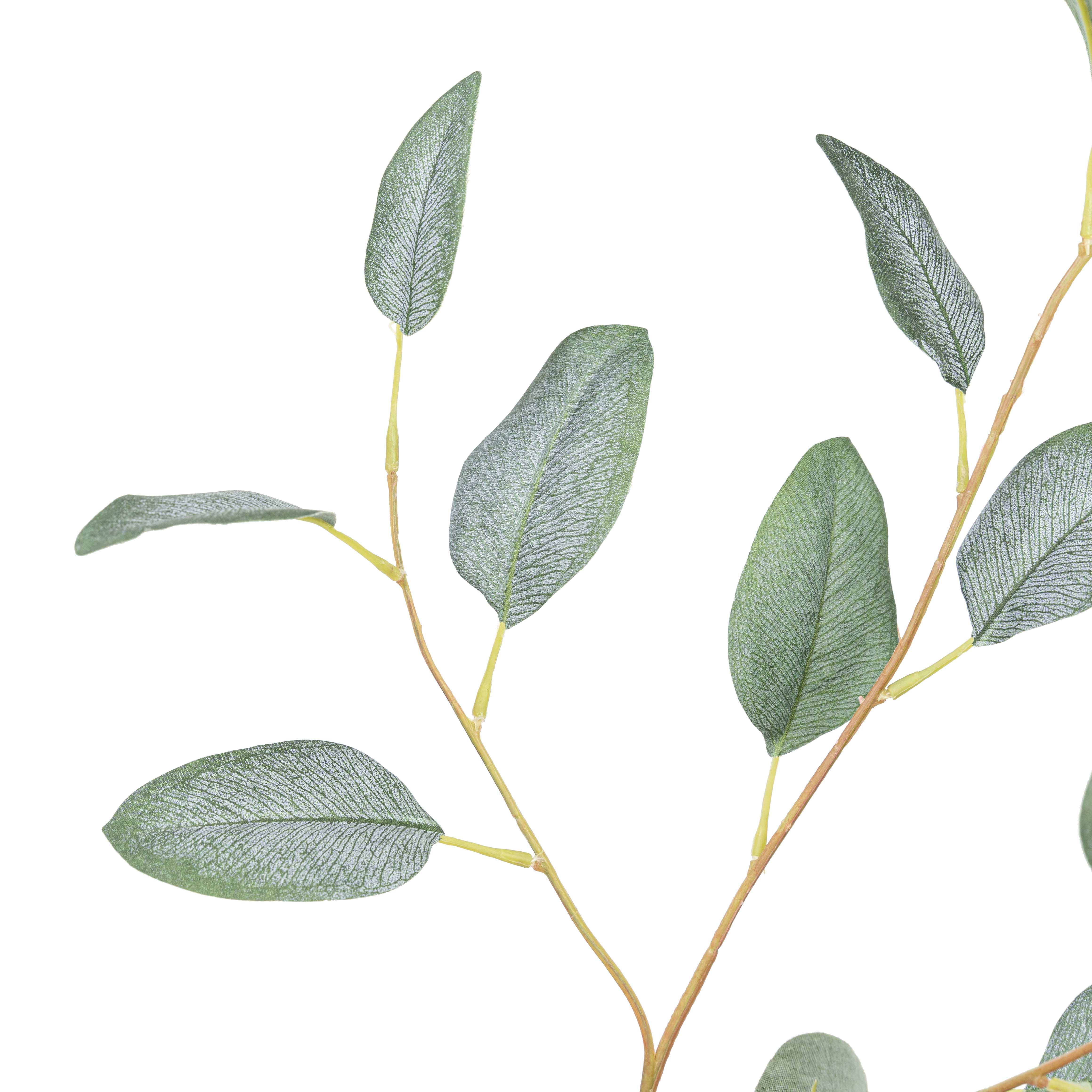 32" EUCALYPTUS SPRAY