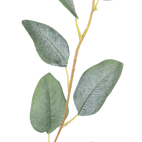 32" EUCALYPTUS SPRAY