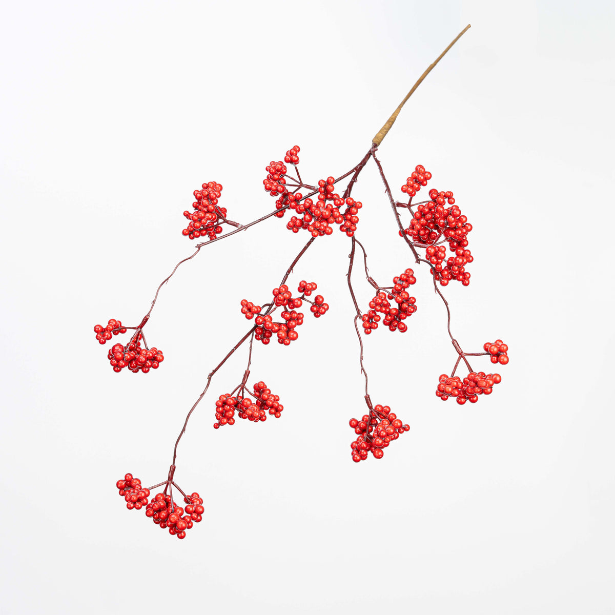 24" BERRY CLUSTER SPRAY
