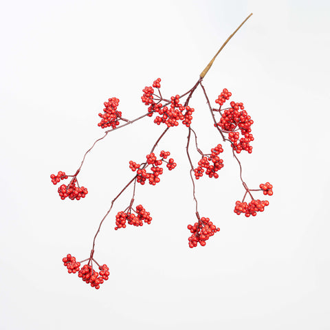24" BERRY CLUSTER SPRAY