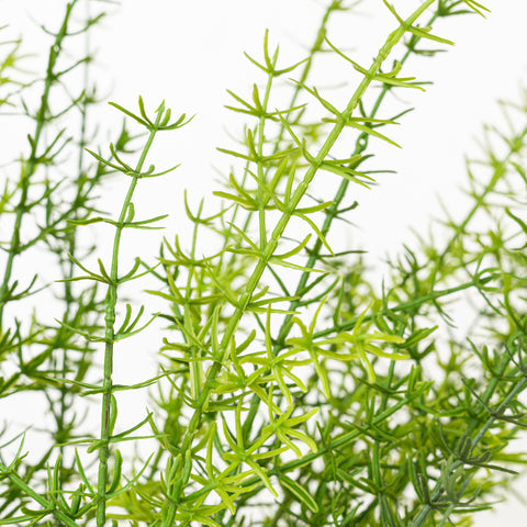 25.5" GRASS BUSH X 5