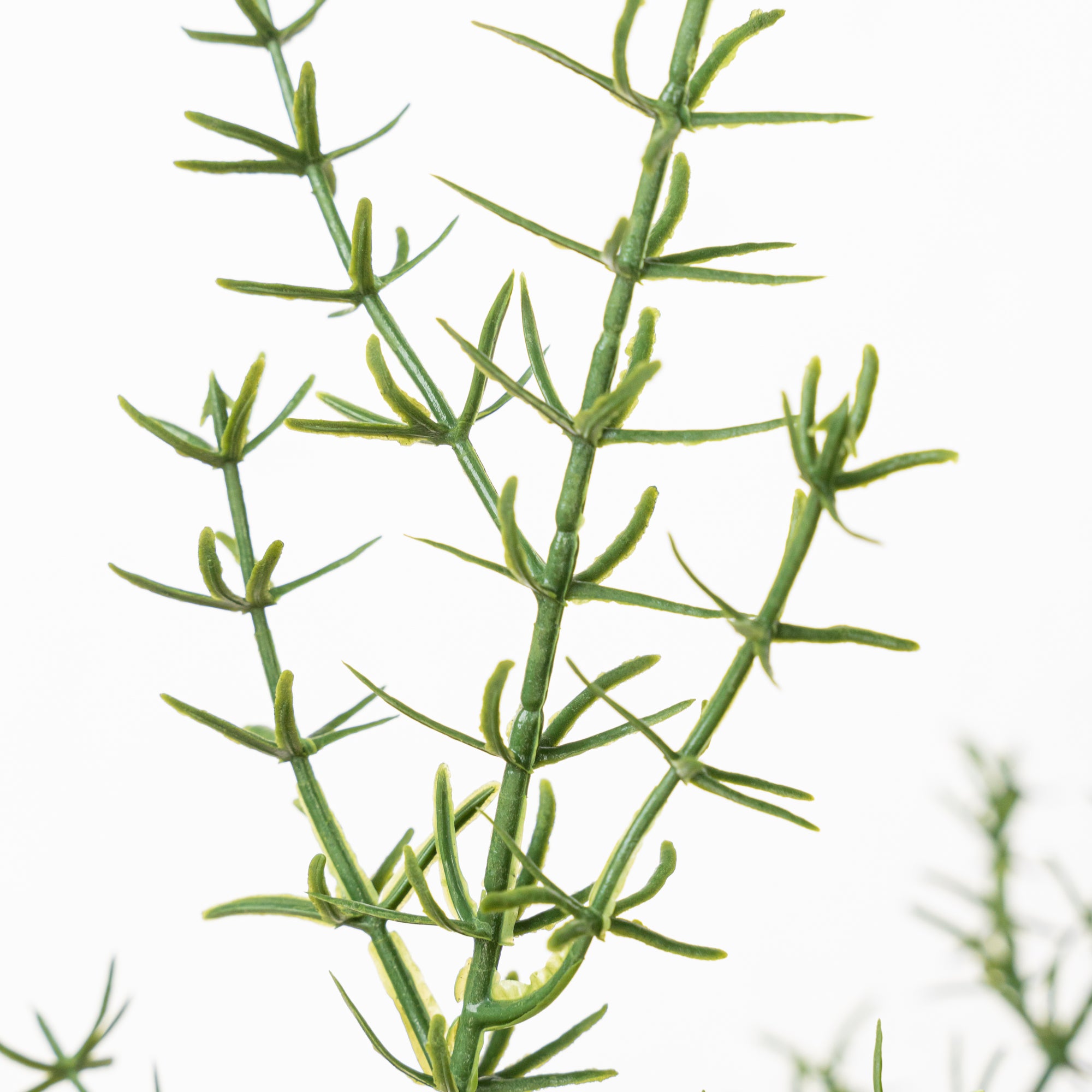 25.5" GRASS BUSH X 5