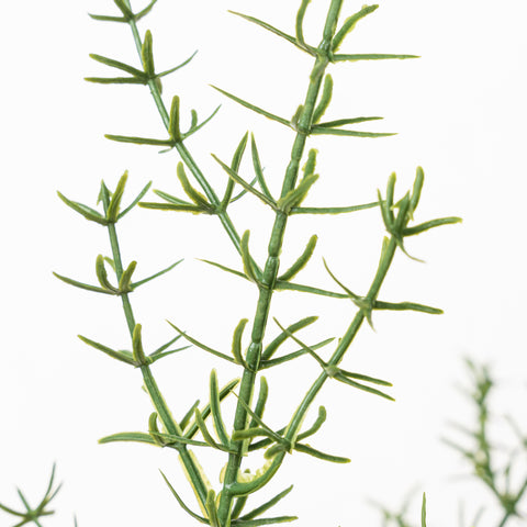 25.5" GRASS BUSH X 5