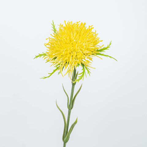 23" PIN CUSHION STEM