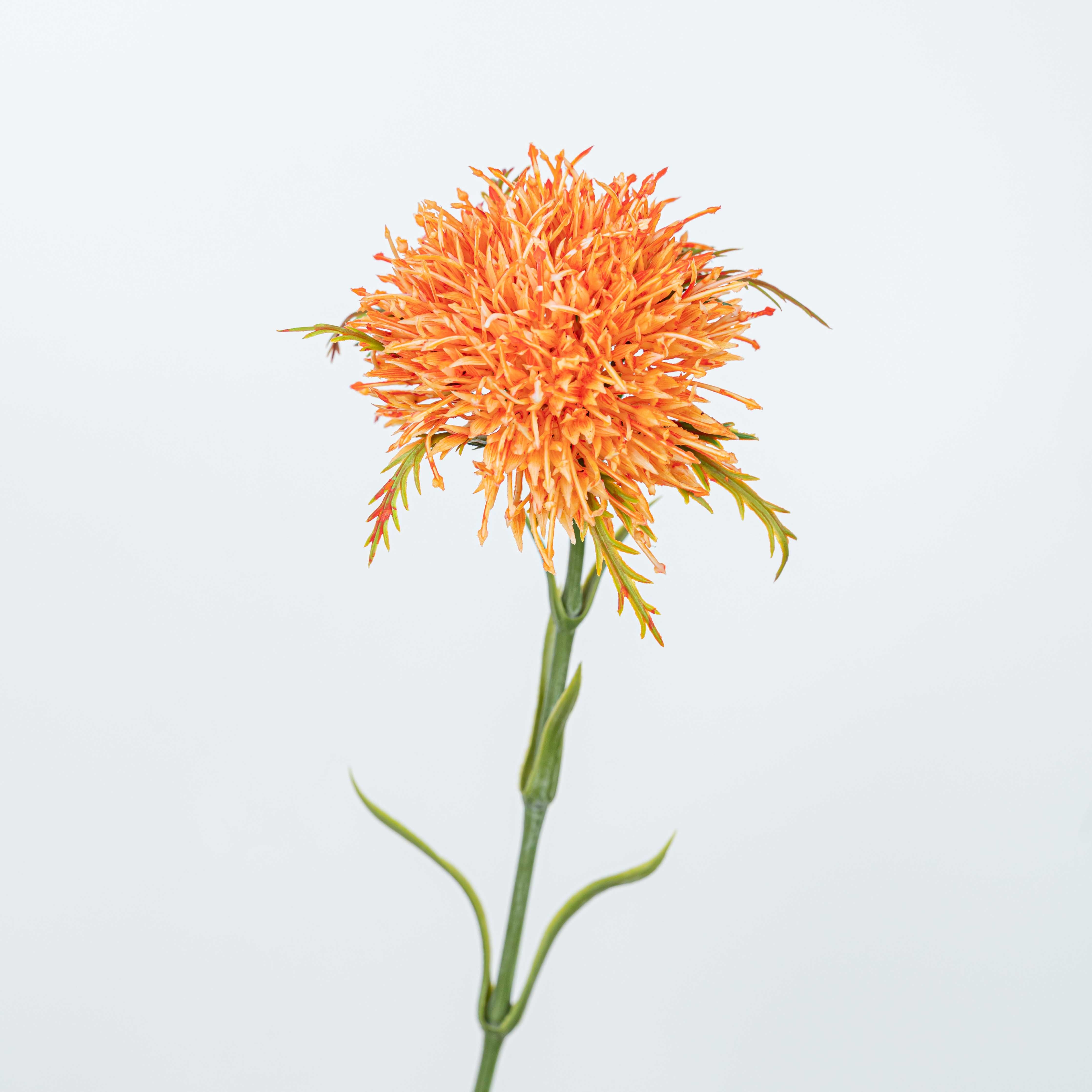 23" PIN CUSHION STEM